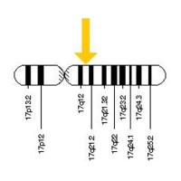 Genetic Testing For BRCA Is A Personal Decision