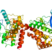 For Treatment Of Polycythemia Vera, FDA Approves Jakafi, A Targeted Therapy