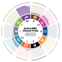 Landscape Analysis Reveals How Little Is Known, Or Said, About Metastatic Breast Cancer