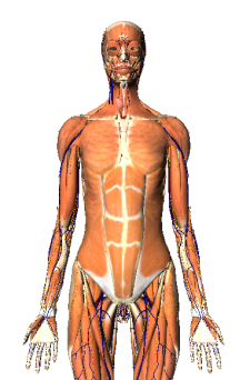 First Inspection of Google’s Anatomy