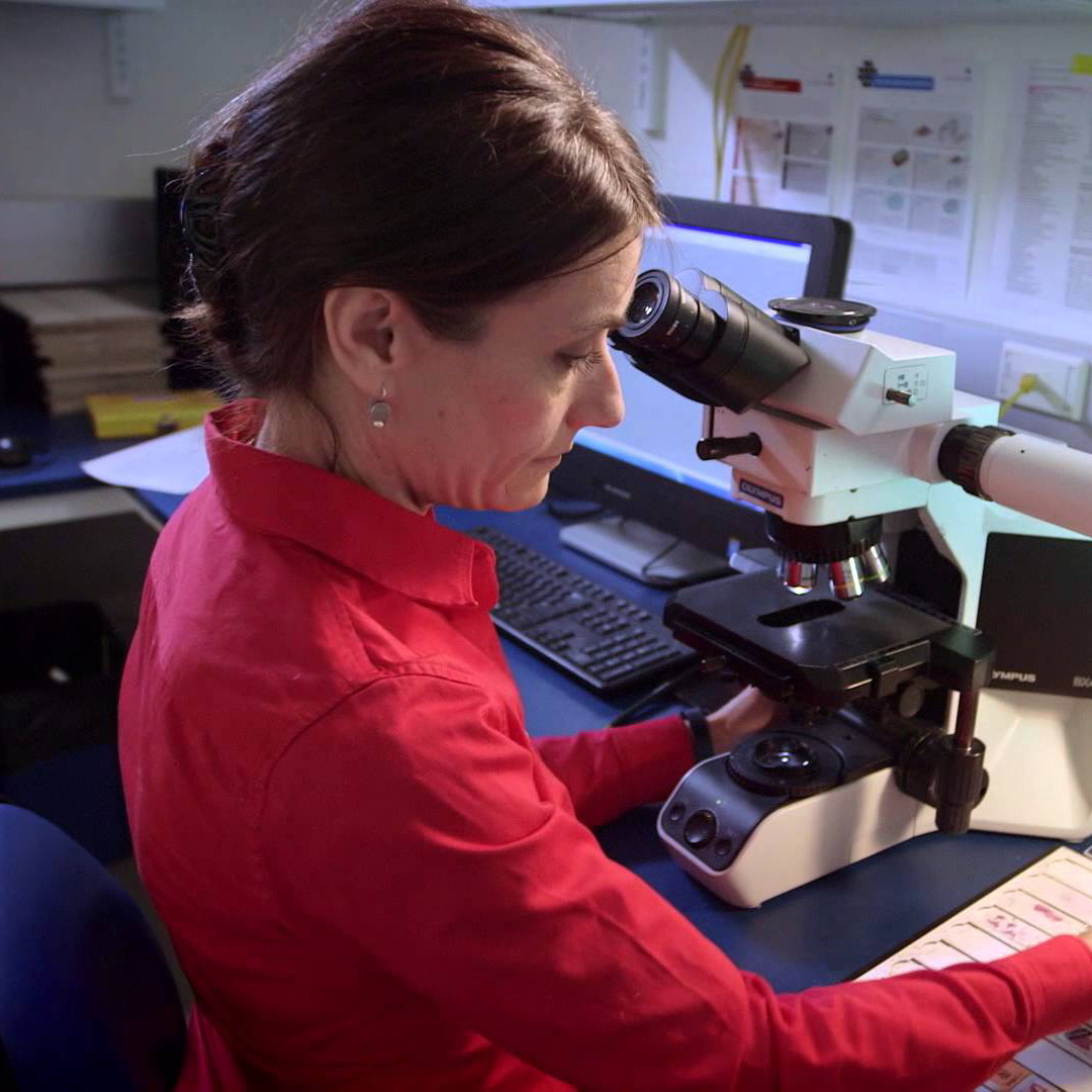 Which Patients Will Be Helped By Immune Cancer Drugs? This Test May Tell